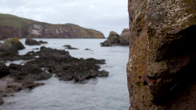Rack Focus-Focus transitions from a closeup rock to the  rugged rocky North Sea shoreline at St. Abbs in the southeast corner of Scotland.