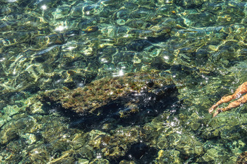 Fototapeta na wymiar Clear see water with big rock and woman legs seen swimming in it. Greenish water on sunny day. Shot in Capo Mannu beach, Sardinia, Italy.