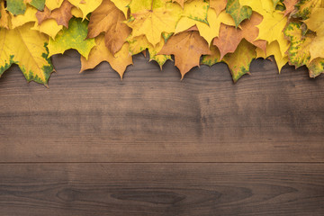 Naklejka na ściany i meble colorful autumn leaves on brown table. fall season concept background