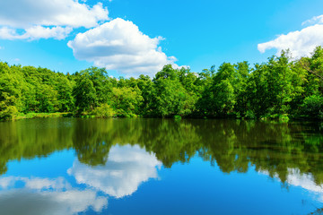 Fototapeta na wymiar lake surrounded by green trees