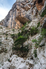 Young woman standing in the background of canyon and looking far away. Shot in Gola Su Gorropu canyon, Sardinia, Italy - important natural site in Sardinia.
