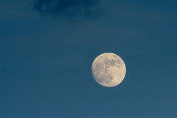 Fototapeta na wymiar luna