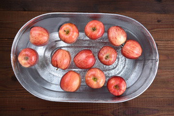 a metal tub filled with water and apples for the Halloween custom of Apple Bobbing © Steve Cukrov