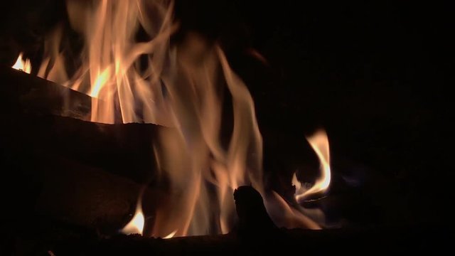 campfire camp fire summer night burning fire/campfire.