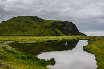 Green mountain reflecting in calm water on overcast day in Iceland