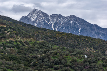 Landscape of Mount Athos in Autonomous Monastic State of the Holy Mountain, Chalkidiki, Greece
