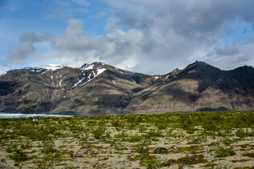 View of the Skaftafellsjokull glacier with green field and cumulus clouds, in Skaftafell, south Iceland