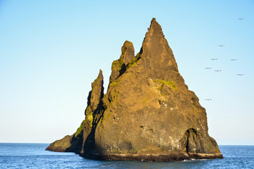 Reynisfjara black sand beach and rocks near  Vik town, Iceland at sunset on sunny summer day