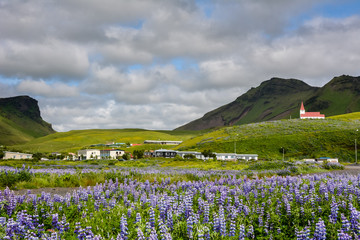 Landscape of Vik village, Iceland with Myrdal Church in background on summer day with dramatic sky