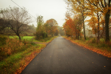 Fototapeta na wymiar Foggy country road