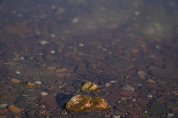 stones in water