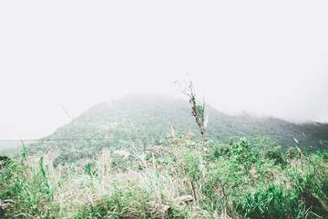 View of sky road over top of mountain with fog and green jungle after raining in morning, Da Lat, Vietnam. The transportation road across mountain.