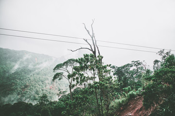 View of sky road over top of mountain with fog and green jungle after raining in morning, Da Lat, Vietnam. The transportation road across mountain.