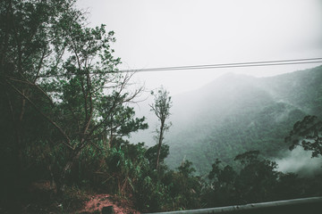View of sky road over top of mountain with fog and green jungle after raining in morning, Da Lat, Vietnam. The transportation road across mountain.
