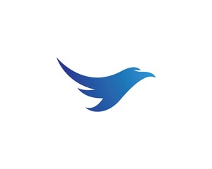 Falcon Eagle Bird Logo Template