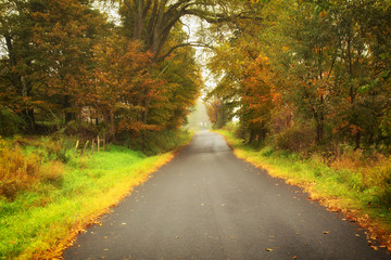 Naklejka premium Foggy country road