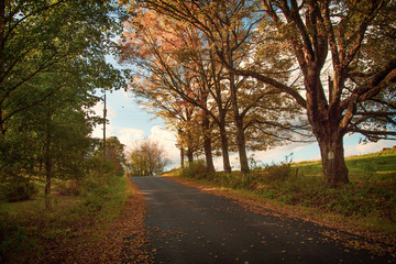 Naklejka na ściany i meble Fall foliage on a romantic country road in the Catskills