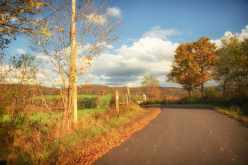 Fall Country road