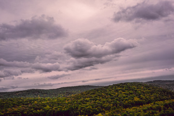 Cloudy Forest Mountains