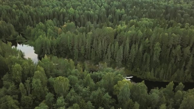 Aerial footage of a forest from height of a drone, Kivach waterfall