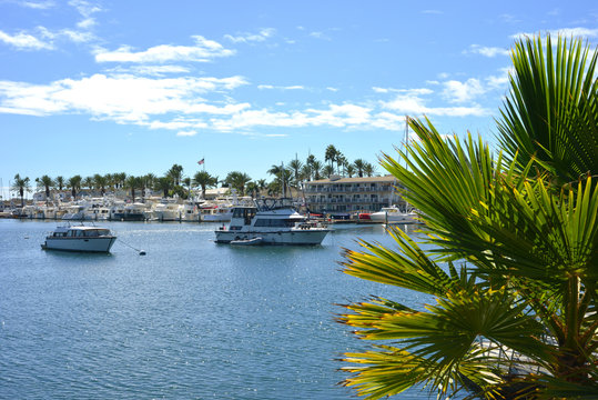 Newport Beach California USA Yacht Harbour