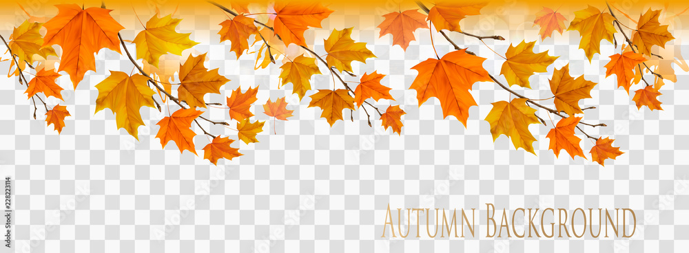 Aufkleber abstract autumn panorama with colorful leaves on transparent background vector