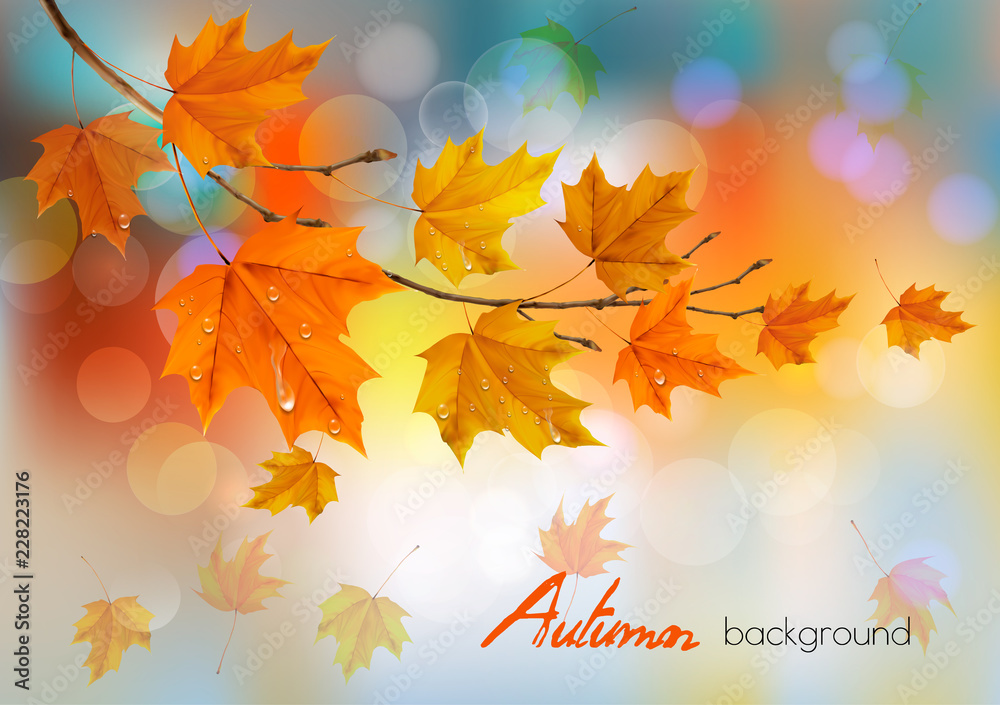 Poster autumn nature background with colorful leaves and drops. vector illustration.