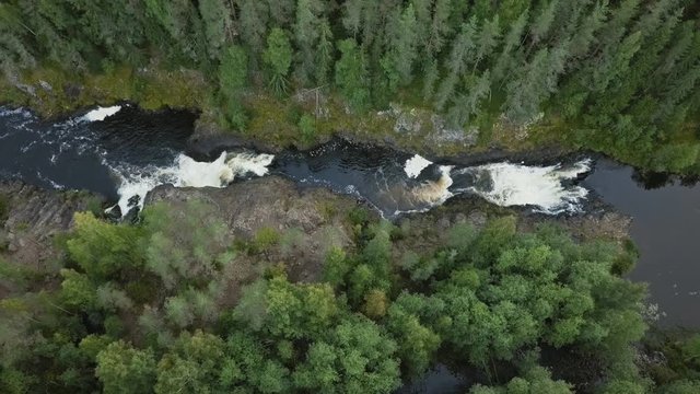 Aerial footage of a Karelian waterfall Kivach, full water flow over the top, beautiful nature, foam on water