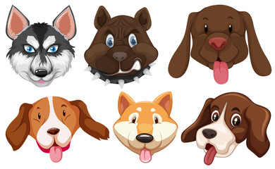 Set of dog breeds head