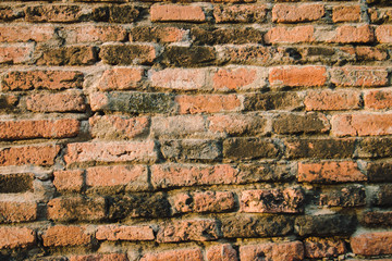 Naklejka premium brick wall texture