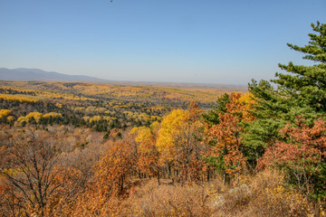 Fototapeta na wymiar the mountain autumn landscape with colorful forest
