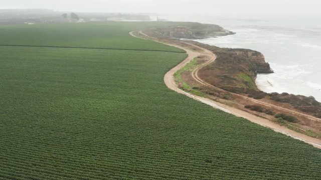 Aerial view of Farm off the coast off of High way 1 in Northern California