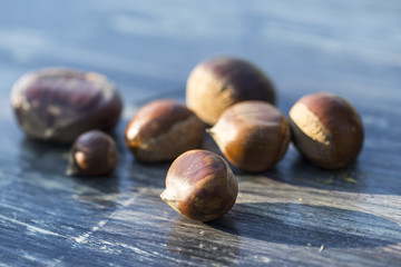 Obraz premium chestnuts in burrs