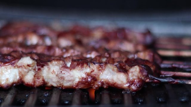 A Depth of field shot of cooking a BBQ