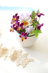 フリルのパンジーとビオラのフラワーアレンジメント