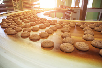 Automatic bakery production line with sweet cookies on conveyor belt equipment machinery in confectionary factory workshop, industrial food production