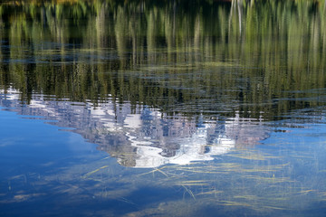 reflection of trees in water