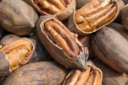 Las nueces est&aacute;n muy grandes. 