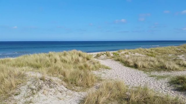 Liseleje Beach by the Tisvilde forest and coastal area on the Danish island of Zealand. A pristine spring morning with a sunny clear blue sky. Sand dunes with reeds in a gentle breeze.