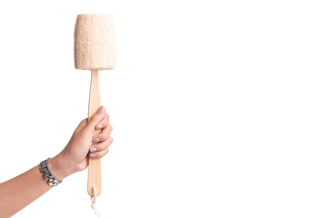 Luffa sponge natural fiber for body scrubbing isolated on white