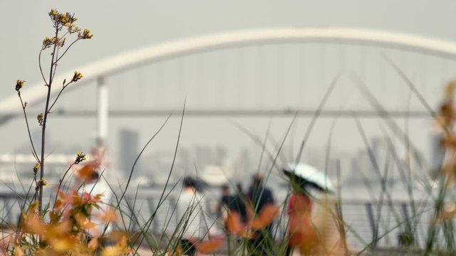 Sunny and hot afternoon in the the West Bund park along the Waitan river and The Bund in Shanghai, China.