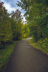 Obraz premium Asphalt road for running along the autumn forest