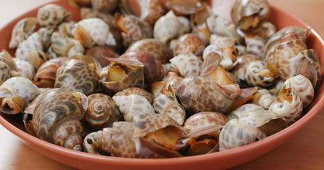 Steamed snail on the dish
