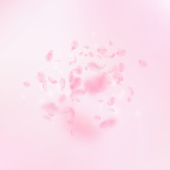 Sakura petals falling down. Romantic pink flowers 