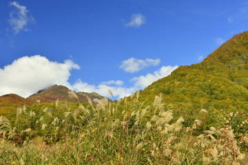 秋の小谷の山