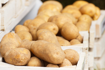 Heap of potatoes in wooden box, healthy nutrition concept