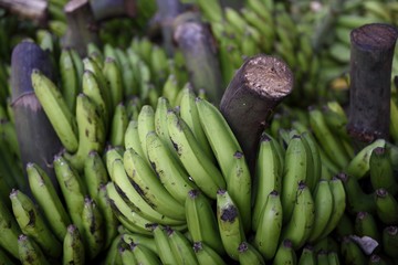 Fresh harvested green bananas in a farmers produce market in Medellin, Colombia, South America.	