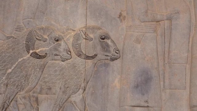 Bas-relief of sheep and shepherds in ancient Persepolis. Shiraz, Iran.