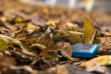 old cell phone with buttons lying on the autumn foliage on the street
