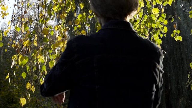 Attractive Older Woman Walking And Clearing Her Way Through Birch Branches With Golden Leaves In Late Afternoon Sun, Slow Motion